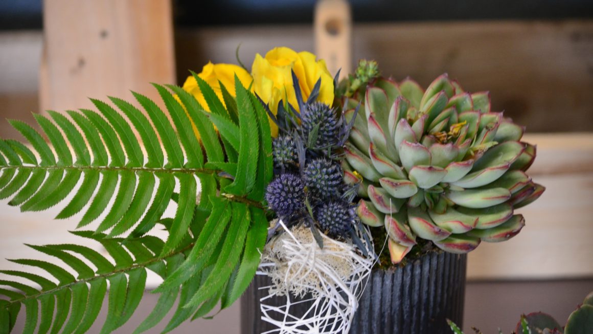 Why do Flowers make people happy? Blog Bold Blossoms